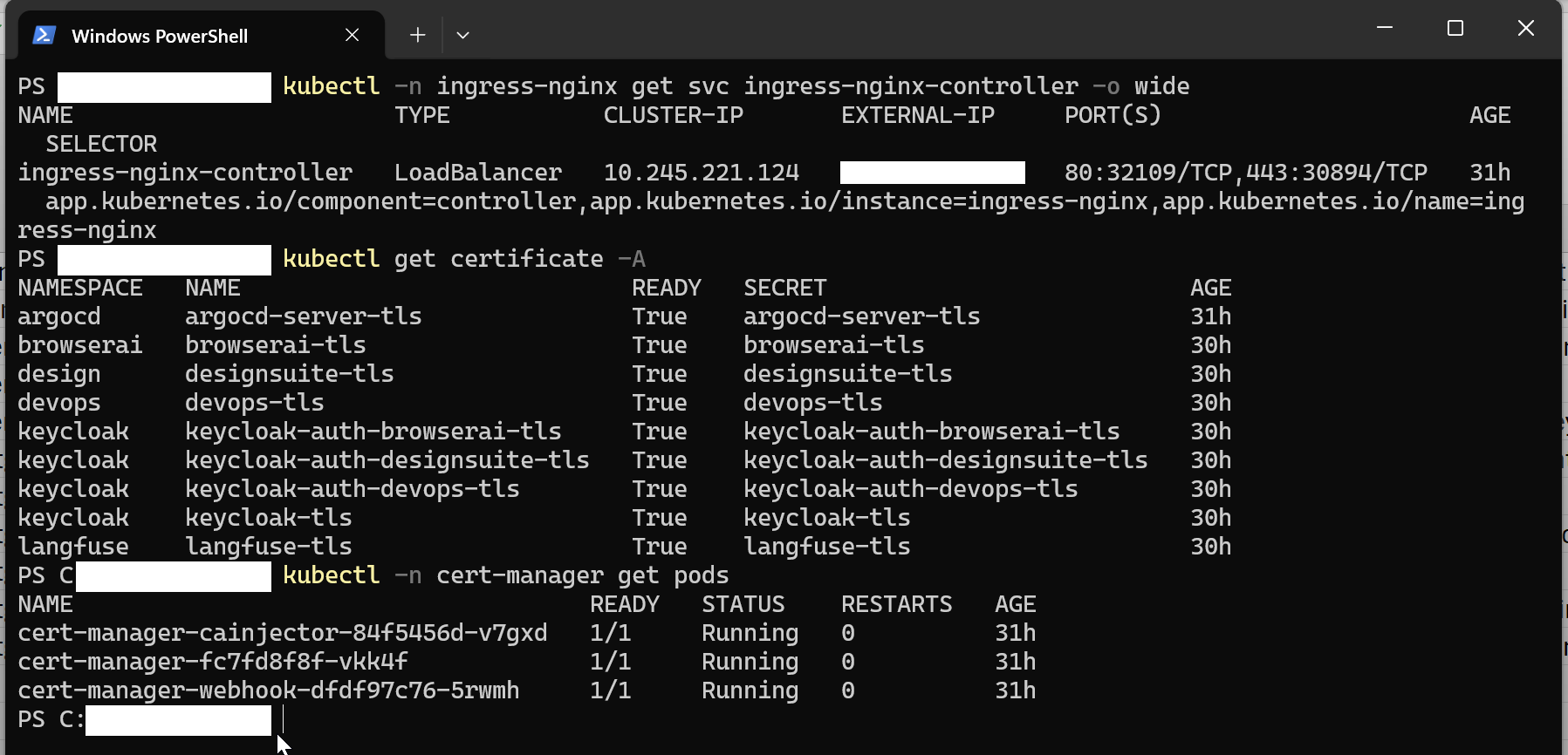 Entry point and HTTPS